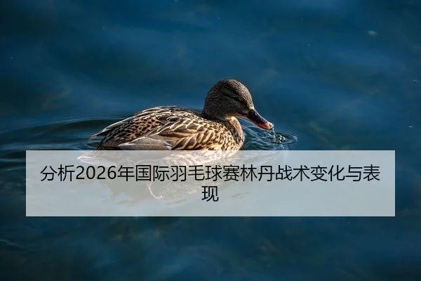 fen-xi-nian-guo-ji-yu-mao-qiu-sai-lin-dan-zhan-shu-bian-hua-yu-biao-xian-1-714.jpg